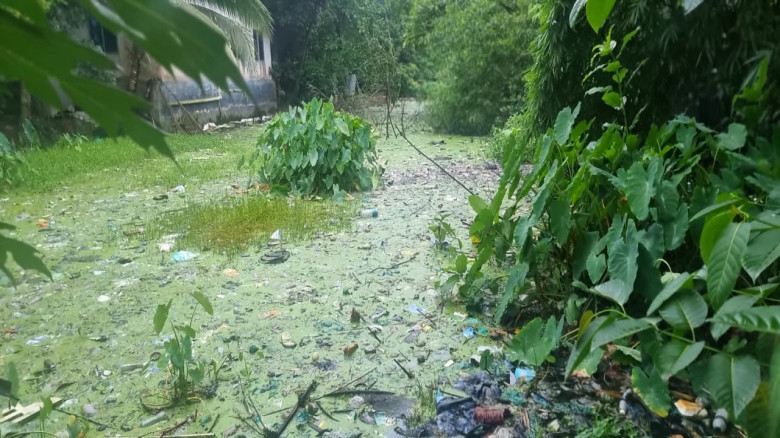 মুরাদনগর উপজেলা গেইটে খাল দখল ও জলাবদ্ধতার ফলে জনদুর্ভোগ