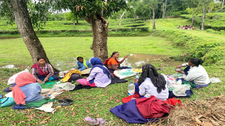 চাপাতার ভর্তা ও আটার রুটি খেয়ে চলে চা শ্রমিকের জীবন