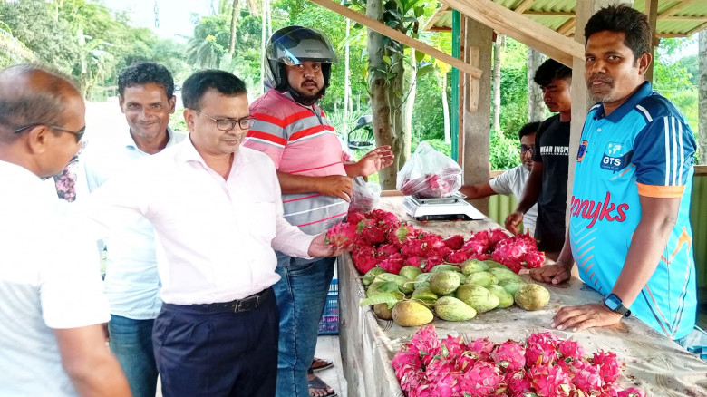 কৃষিই স্বপ্নপূরণ: জয়পুরহাটে দুই ভাইয়ের ৪৭ বিঘার ড্রাগন বিপ্লব
